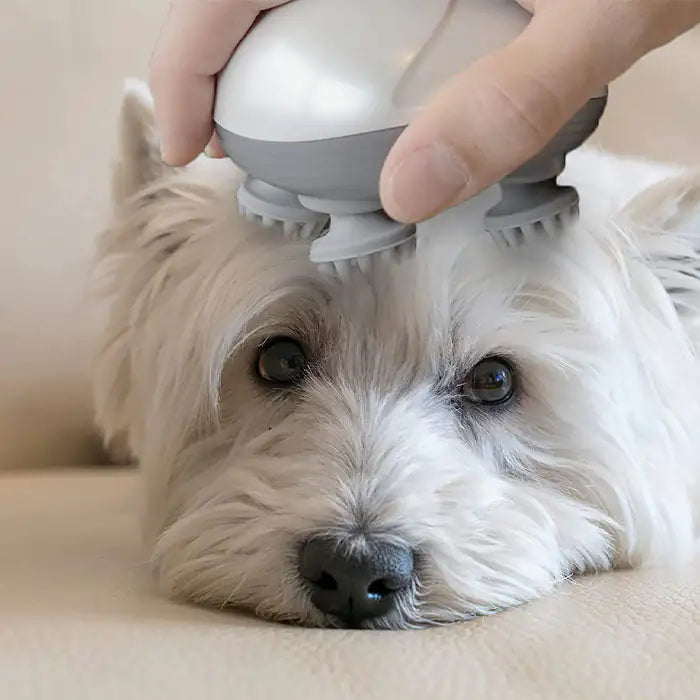 Purrva's Electric Pet Massager – Ultimate Relaxation for Dogs & Cats